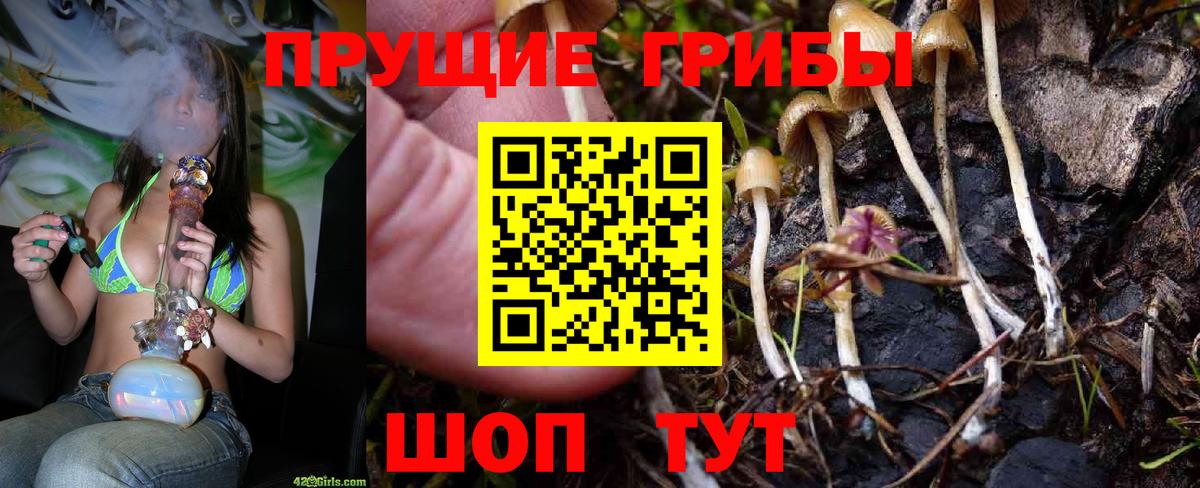 Медногорск  Галлюциногенные грибы Psilocybine cubensis  Галлюциногенные грибы мицелий  Вход с VPN 
